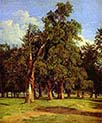 Old Elm in the Prater